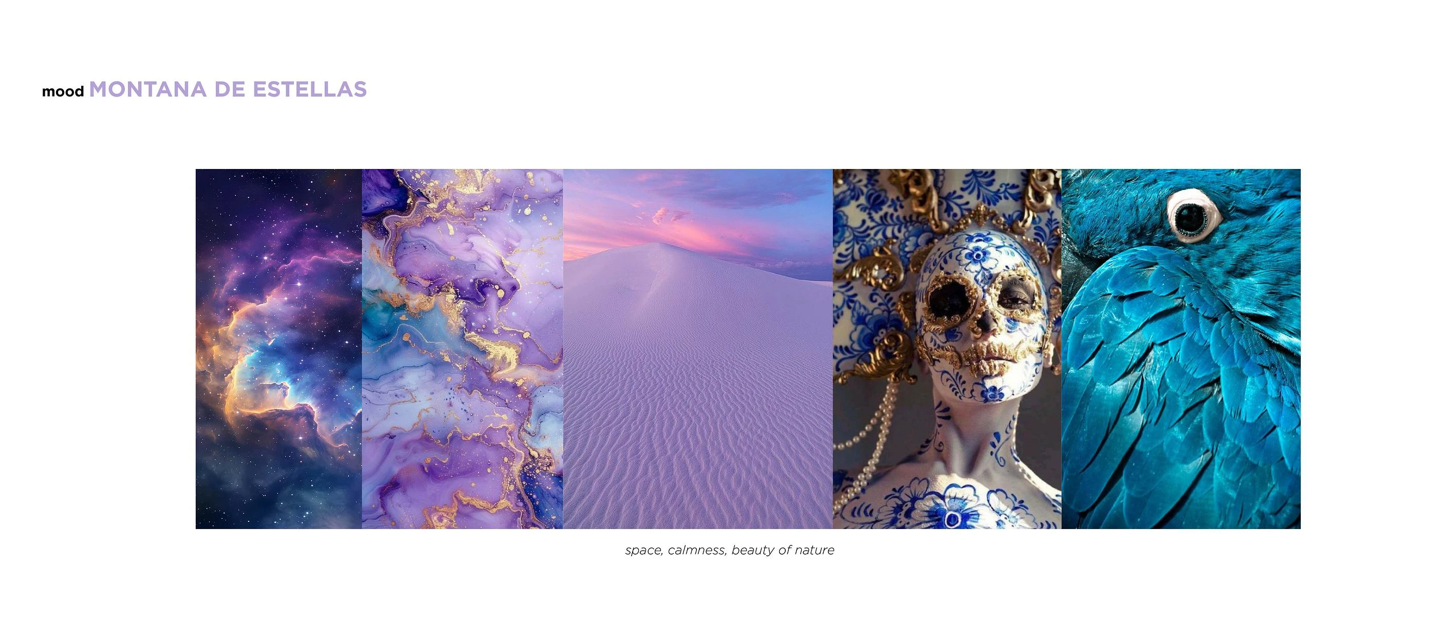 cover-image