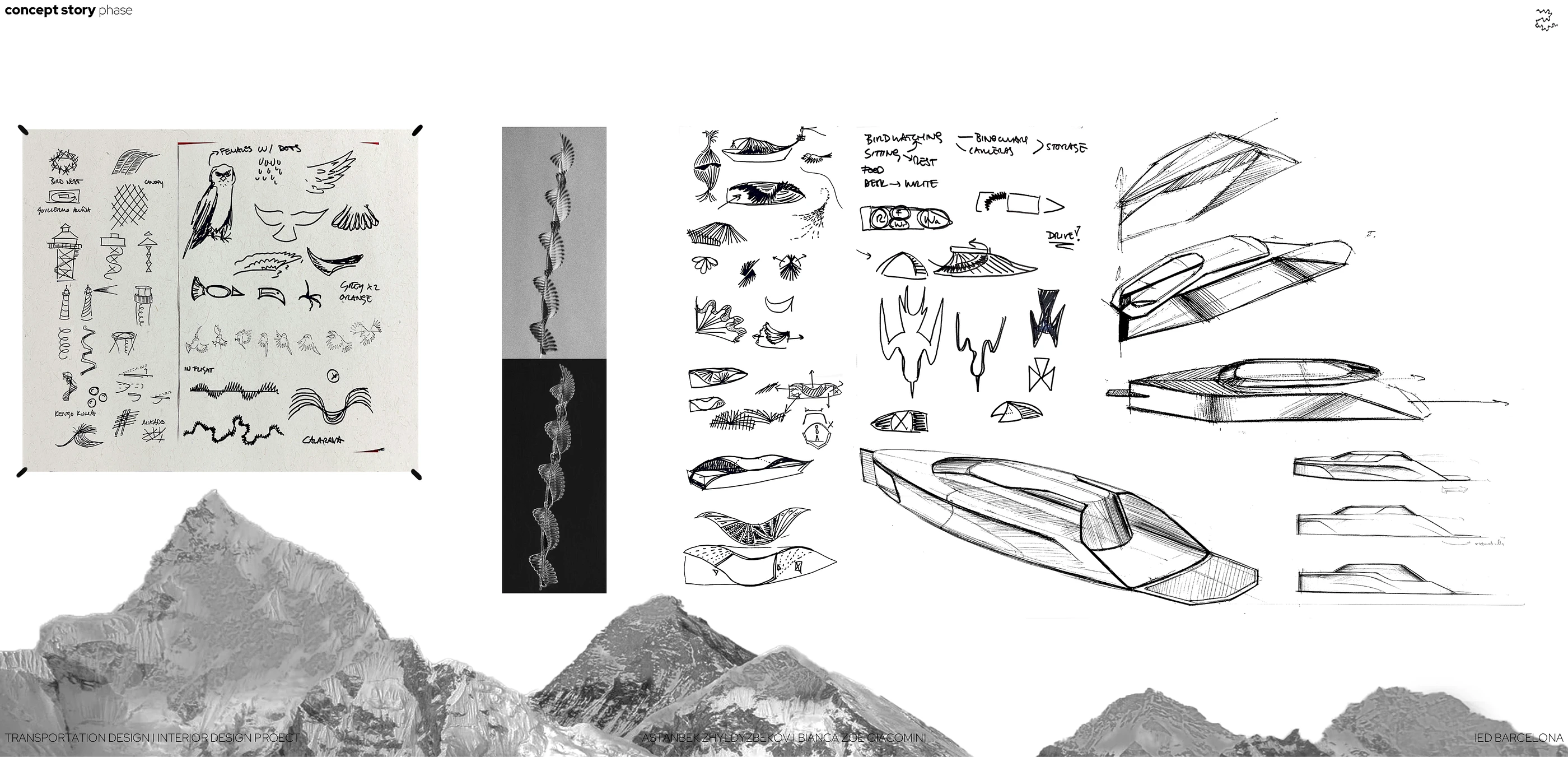 cover-image