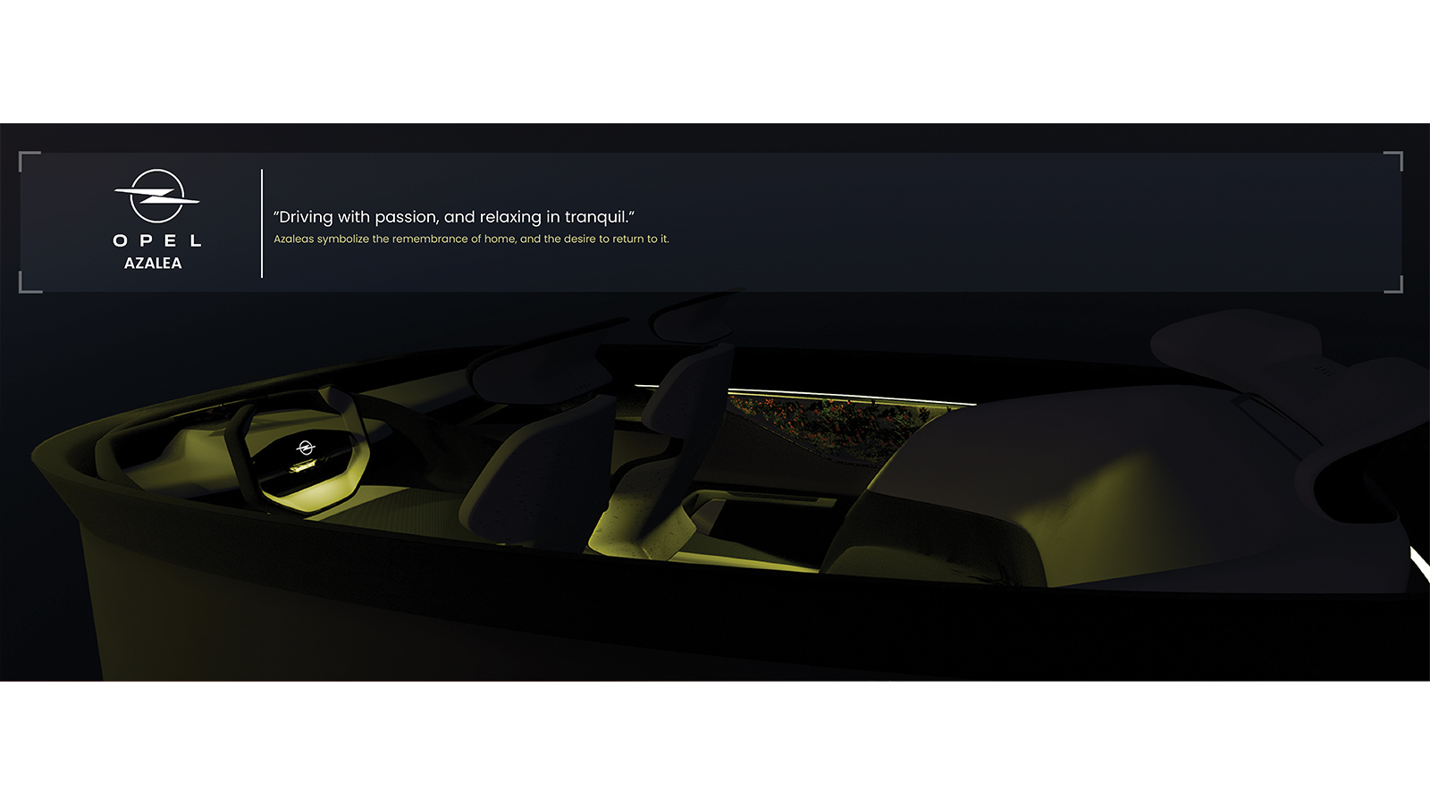 cover-image