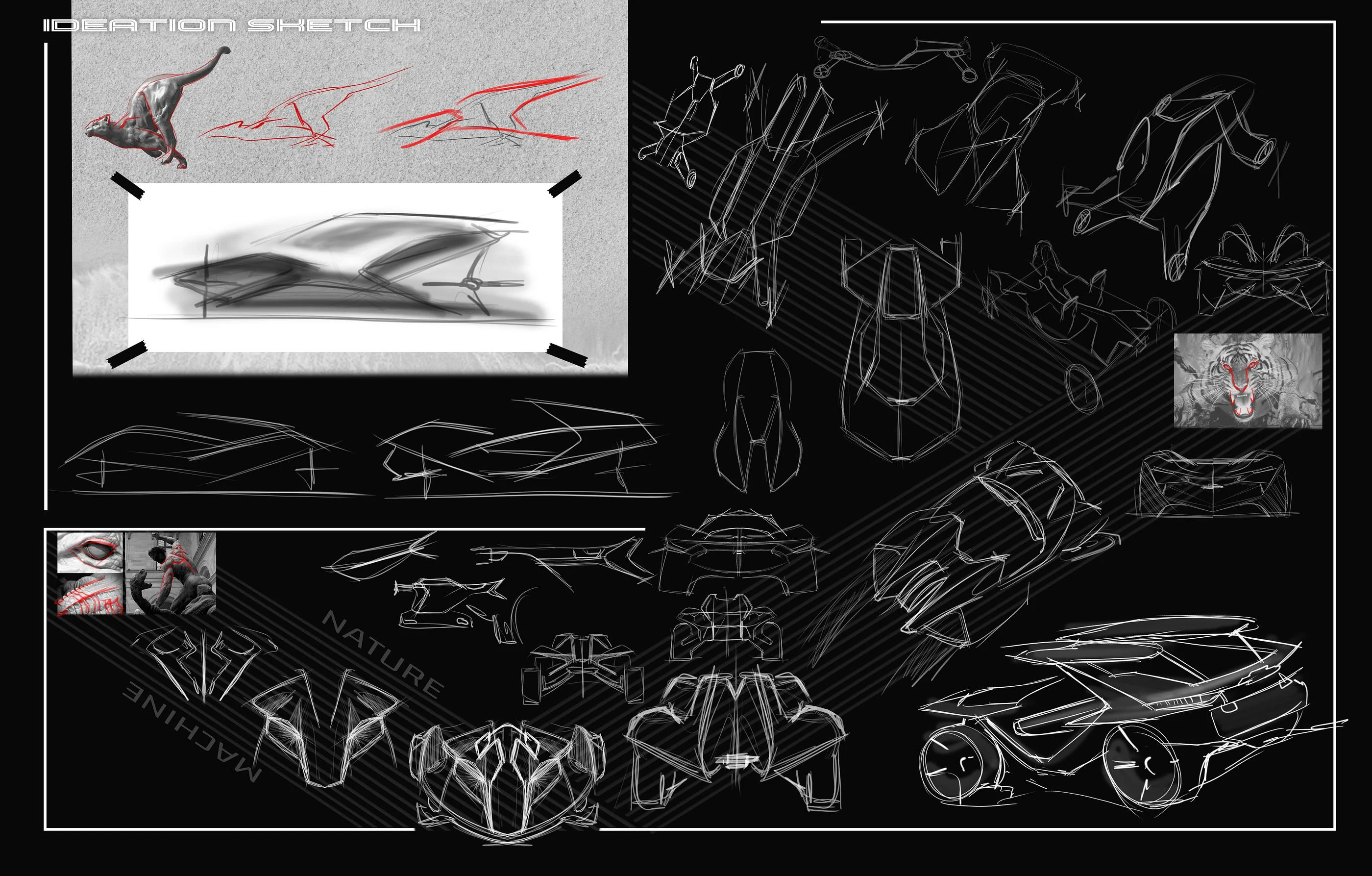 cover-image