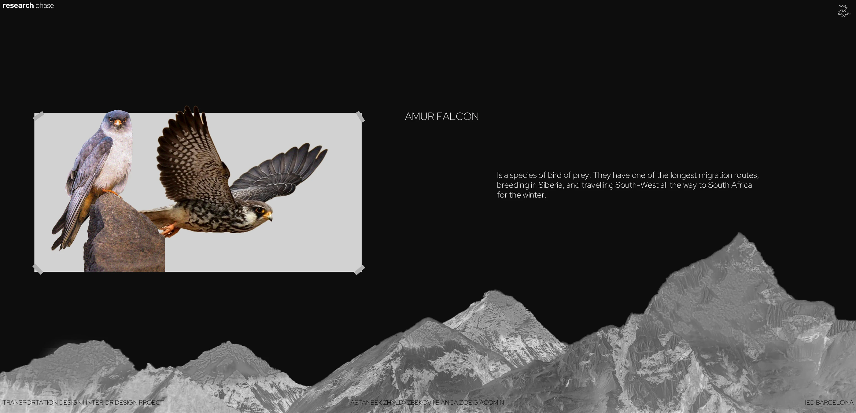 cover-image