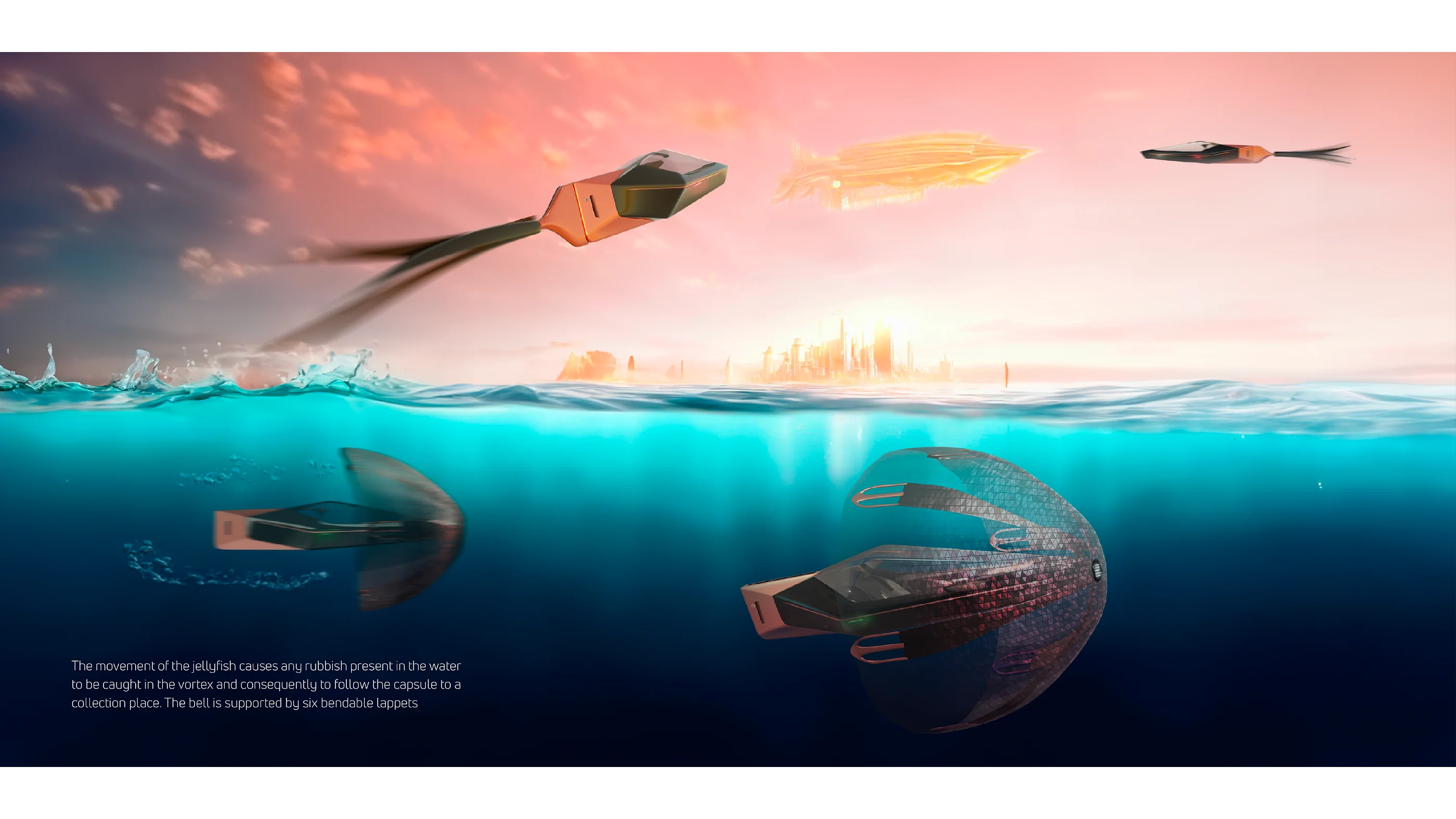 cover-image