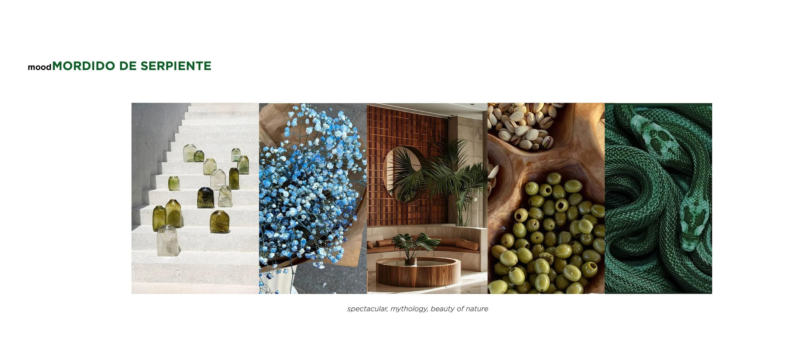cover-image