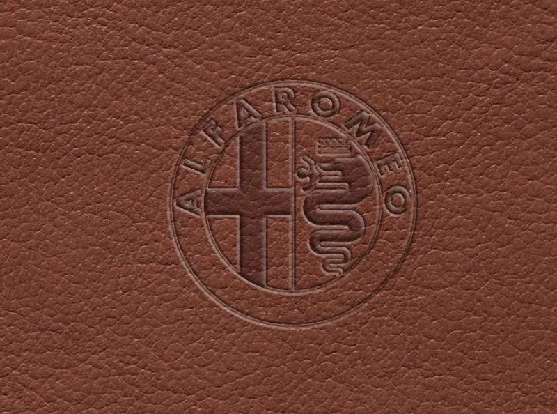 cover-image