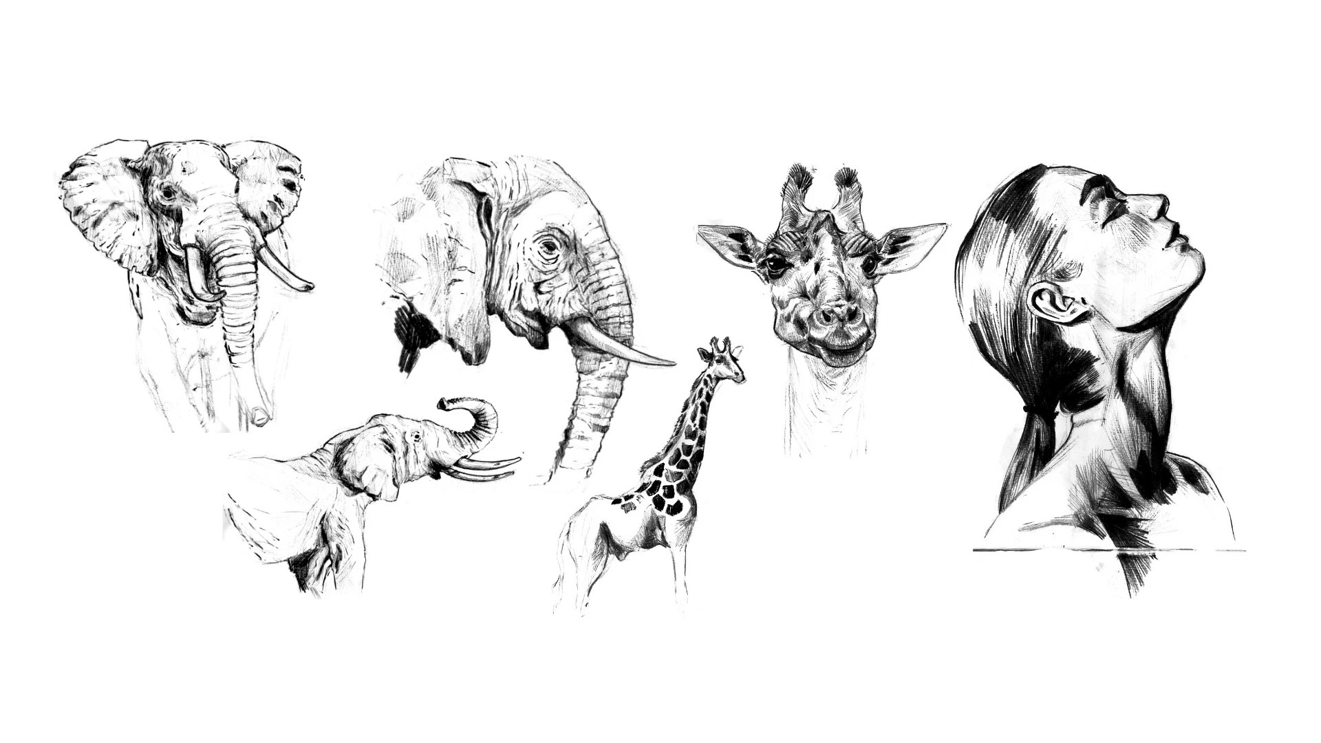 cover-image