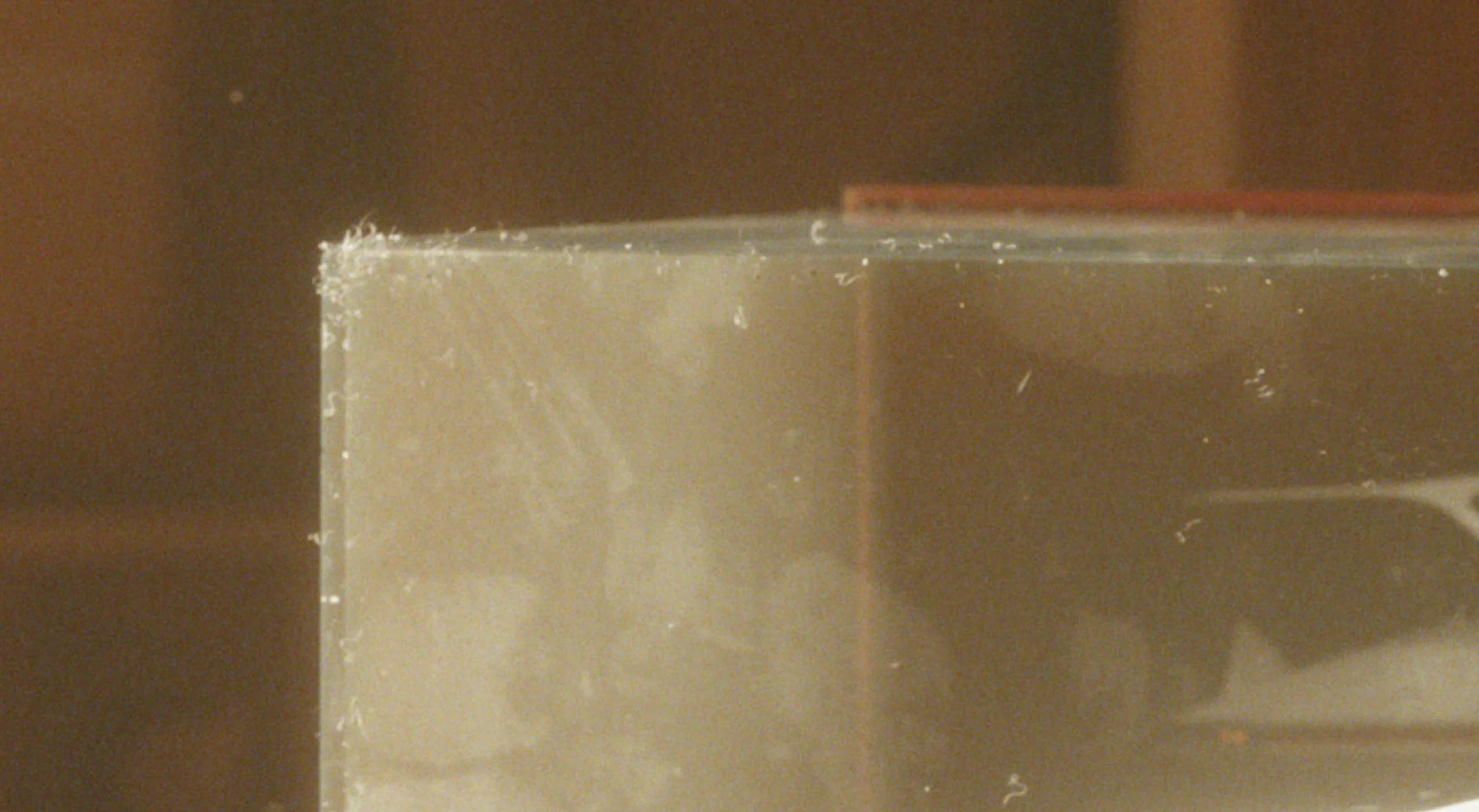 cover-image