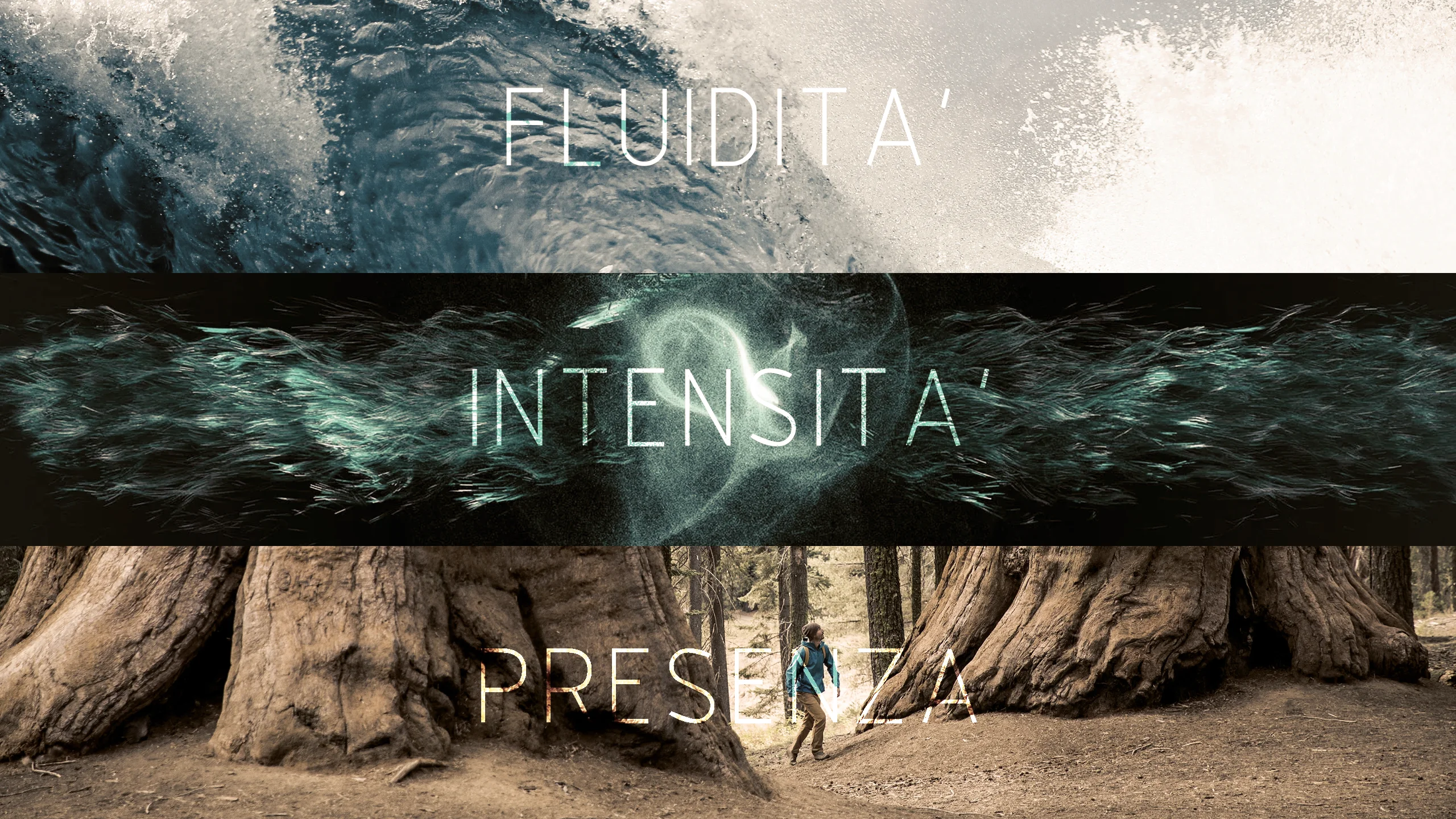 cover-image