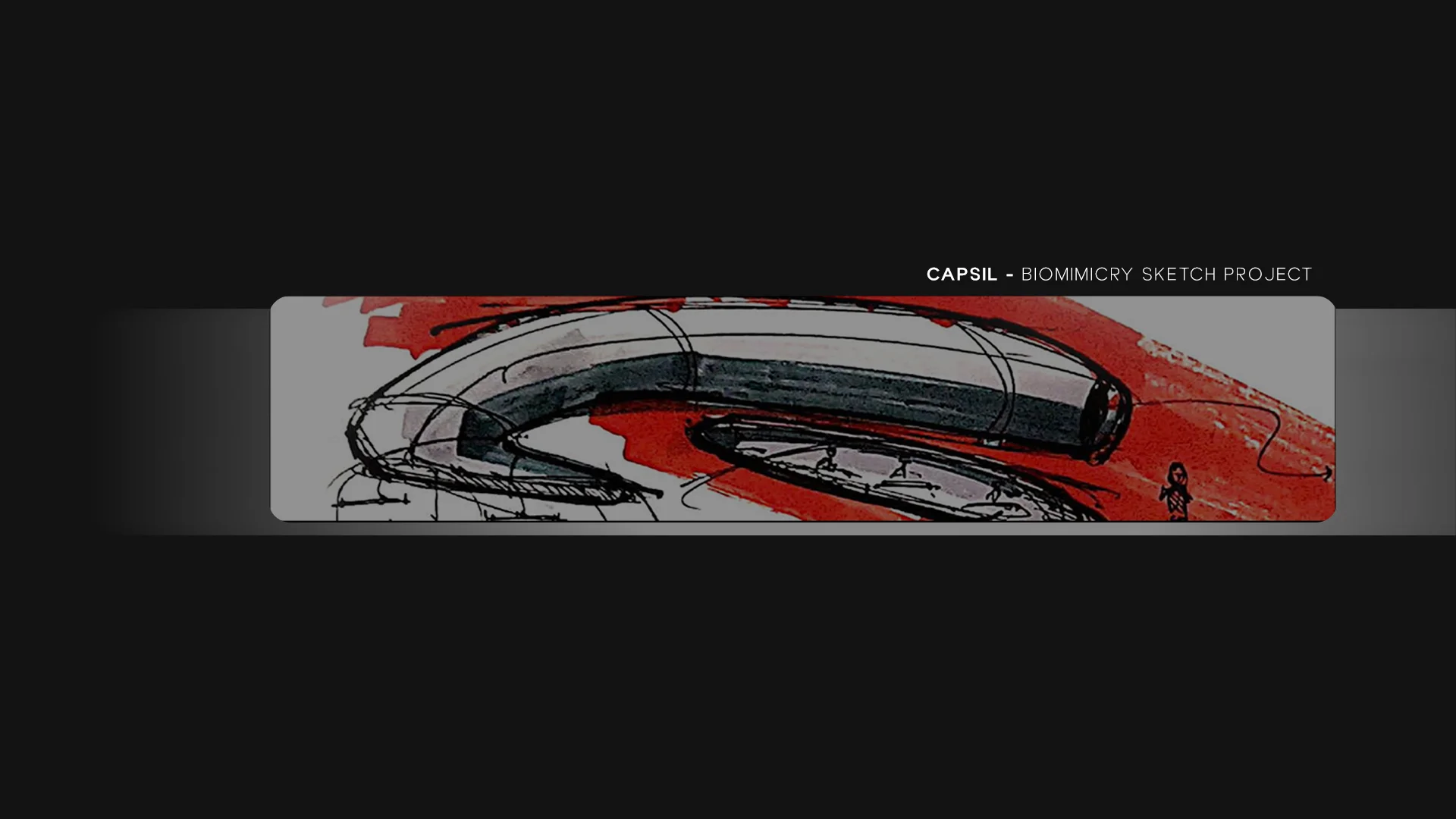 cover-image