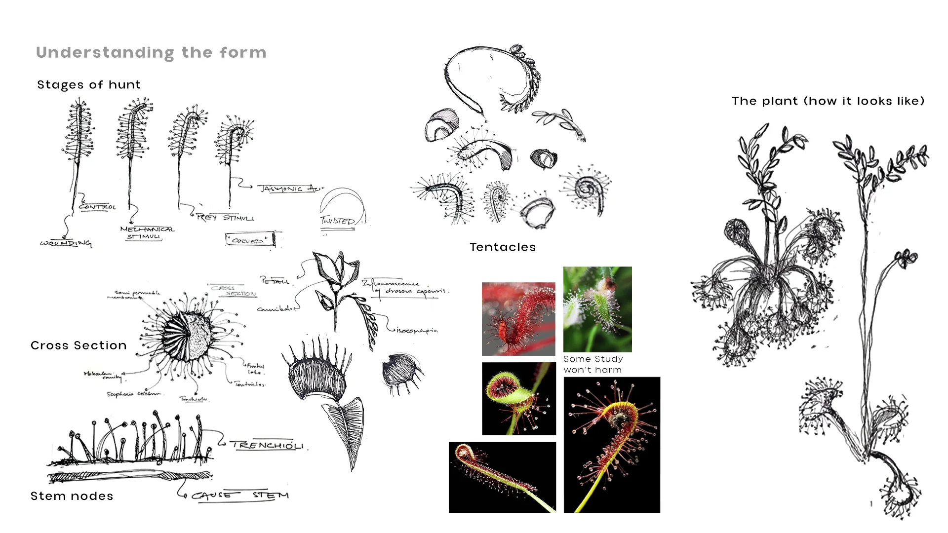 cover-image