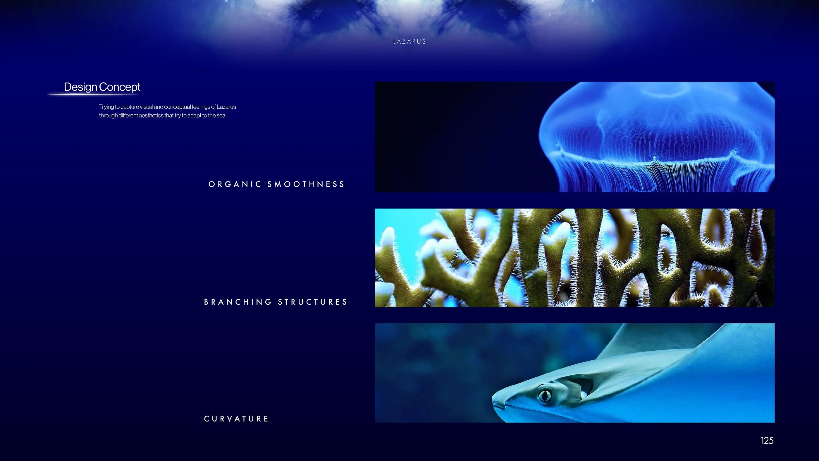 cover-image