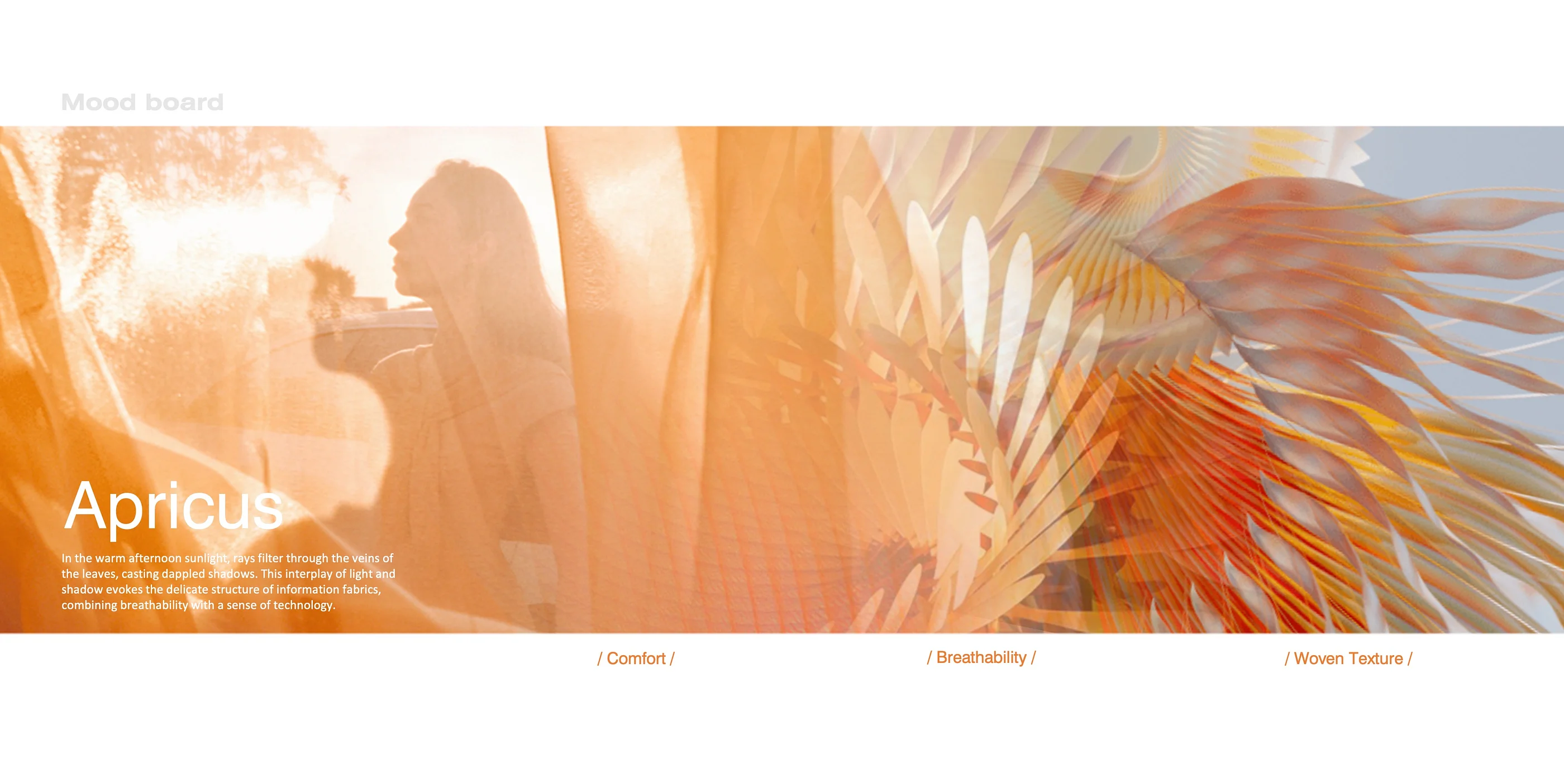 cover-image